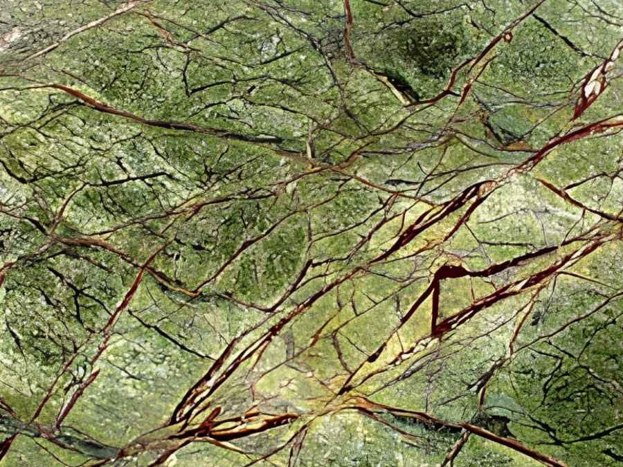Rainforest Green slab — natural marble from Bidasar, India